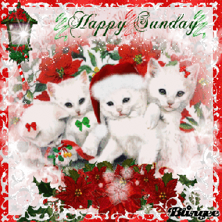 https://cdn.lowgif.com/small/50d53ae70a1c325c-happy-sunday-picture-78573842-blingee-com.gif