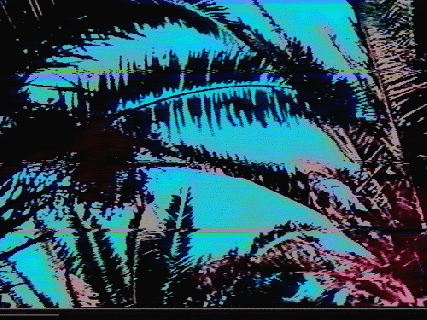 gif paradise psychedelic vhs palm trees fuzzy static plants leaves blowing rad blurry utopia small