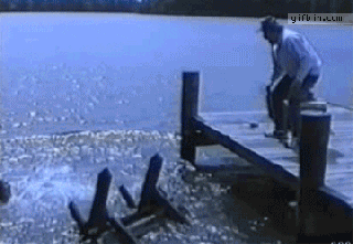 bench fail gif find share on giphy small