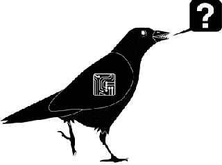 https://cdn.lowgif.com/small/53a24bc355f77084-weird-crow-black-animated-gif-aereocrow.gif