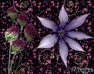 sini12 images beautiful flowers wallpaper and background photos small