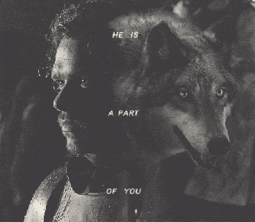 https://cdn.lowgif.com/small/5763eba320ccd080-game-of-thrones-imagens-robb-stark-grey-wind-wallpaper-and.gif