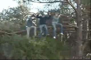 tree fail gif find share on giphy small