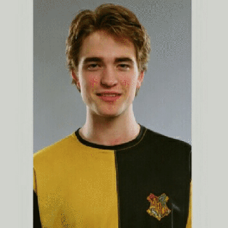 remembering cedric diggory harry potter amino small