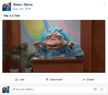 how to post an animated gif on facebook huffpost small