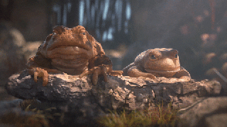 https://cdn.lowgif.com/small/5a47a78021dccb9f-animation-wildlife-gif-by-jerology-find-share-on-giphy.gif