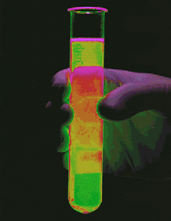 neon experiment gif find share on giphy small