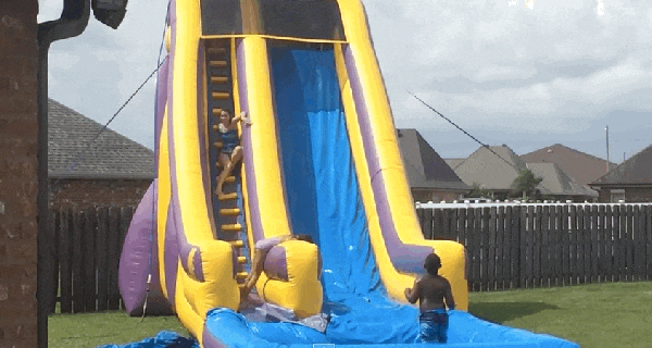 dog goes down waterslide immediately wants to do it again small