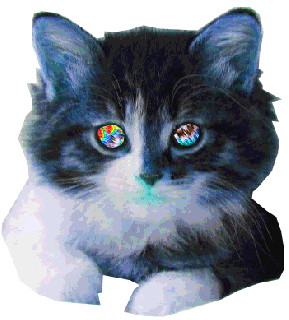 https://cdn.lowgif.com/small/5e61736c52dd6460-psychedelic-cat-cat-animation-gif-wifflegif.gif