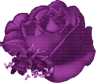 flower flowers deco decoration rose roses purple jitter bug small