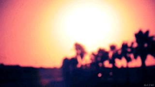 walt whitman sunrise gif find share on giphy small