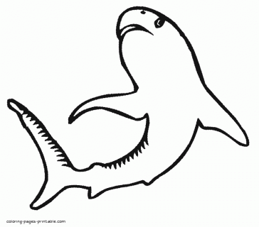 sea animals colouring pages sharks small