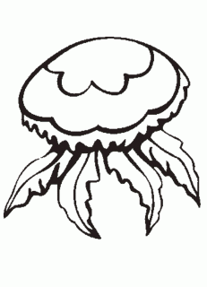 jellyfish coloring page animals town free jellyfish color sheet small