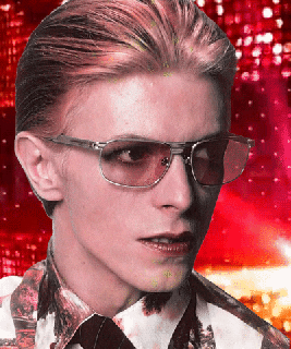 https://cdn.lowgif.com/small/64cb2c146ec71836-david-bowie-70s-gif-find-share-on-giphy.gif