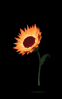 sunflower gifs find share on giphy small