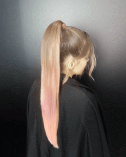 https://cdn.lowgif.com/small/65c7d8c2602cdad5-7-easy-hairstyles-that-you-can-do-in-3-minutes-or-less-beehive.gif