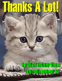 https://cdn.lowgif.com/small/68c4491f86a713e5-thanks-a-lot-my-friends-free-birthday-thank-you-ecards-greeting.gif