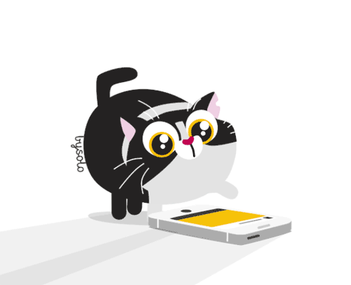 everyday is caturday animated gifs animated gif pinterest gifs small