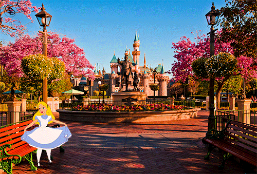 a perfect day disney pinterest alice small