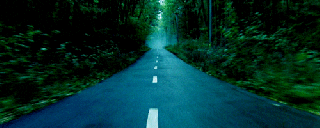 twilight forest gif find share on giphy small