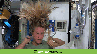 funny hair gifs find share on giphy small