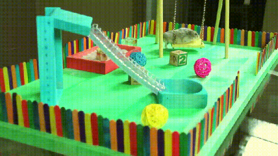 hamster playground gif find share on giphy small