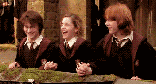 https://cdn.lowgif.com/small/6d8d44b580390d74-harry-potter-holding-hands-gif-find-share-on-giphy.gif