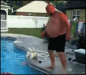 introducing the new gifs fatguy pool tube small