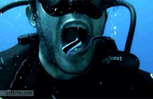 https://cdn.lowgif.com/small/704e144c047d3788-deep-sea-teeth-cleaning-funny-pictures-quotes-pics-photos.gif