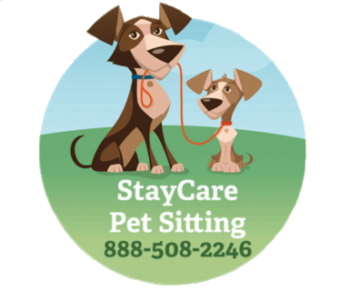 staycare pet sitting small