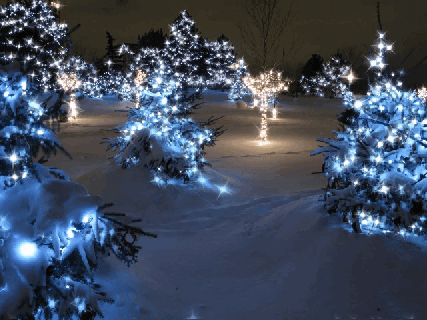 blue glittering tree lights pictures photos and images for small