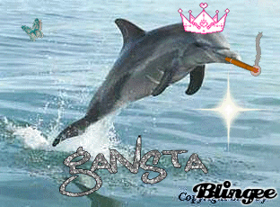 https://cdn.lowgif.com/small/7309fd88c42bb933-gansta-dolphin-picture-6649499-blingee-com.gif