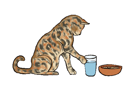 lina kartika on behance tons of cat drinking water gif small