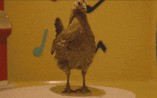 dancing chicken gifs get the best gif on giphy small