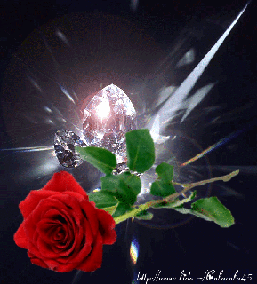 dreamies de 9q9atbm3fq0 gif roses are love pinterest small
