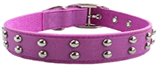 dog collars and leads click here to see full range small