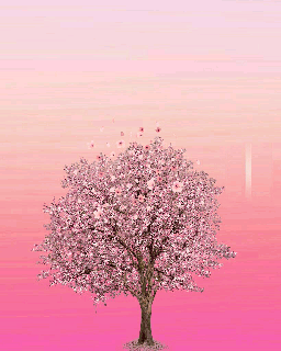 https://cdn.lowgif.com/small/7429d2b904a4cb46-spring-floatingflowers-photography-pink-pinkflowers-win.gif