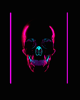 3d skull on behance graphics small