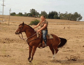 funny fail lol gif on gifer by rexsong small