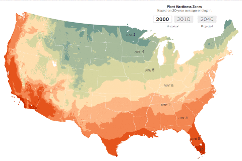 map of the week plant hardiness zones ubique small