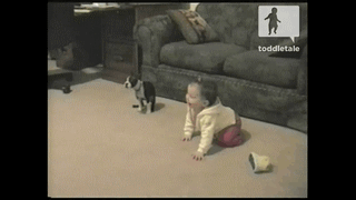 dog babies pooping gif on gifer by zulubei small