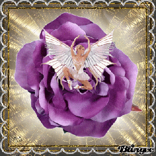 purple rose pictures p 1 of 68 blingee com small