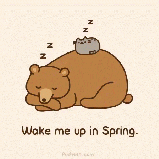 wake me up in spring gif spring springtime itsspring discover small