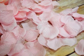 2rps pk silk rose petals pink cs 24 united wholesale flowers small