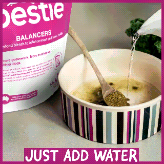 all natural australian balancing supplement for raw or fresh cat food bestie kitchen tons of drinking water gif small