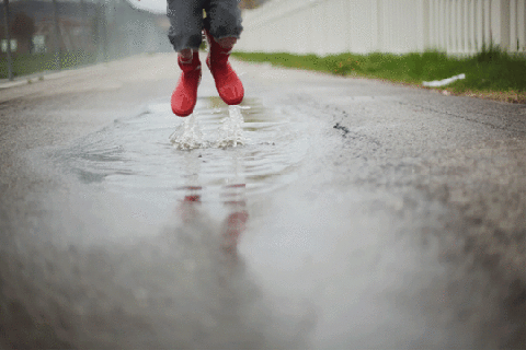 https://cdn.lowgif.com/small/7884ddfa7e82f5dd-puddle-jumping-puddle-jumping-1-by-amber-l-johnson.gif