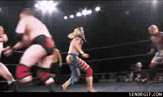 10 gifs that might prove wrestling is fake gallery ebaum s world small
