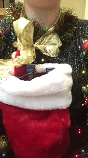 https://cdn.lowgif.com/small/7ac92210f321a6c2-i-ve-got-this-sweater-contest-in-the-stocking-gifs.gif