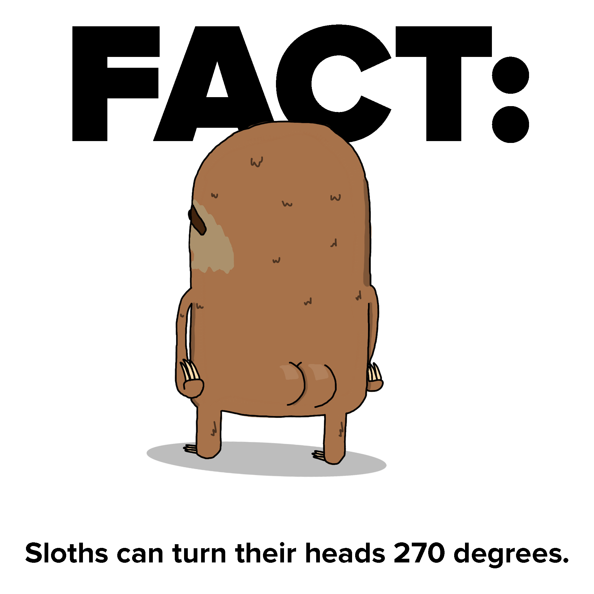 https://cdn.lowgif.com/small/7af23ac3d44ba028-9-sloth-facts-every-human-should-know-sloth-animal-and-baby-animals.gif