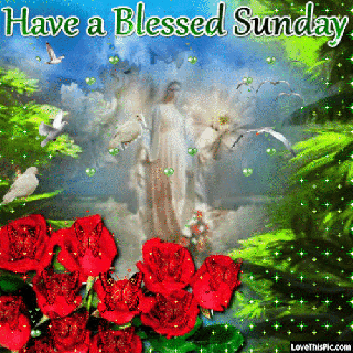 have a blessed sunday gif quote pictures photos and images for small